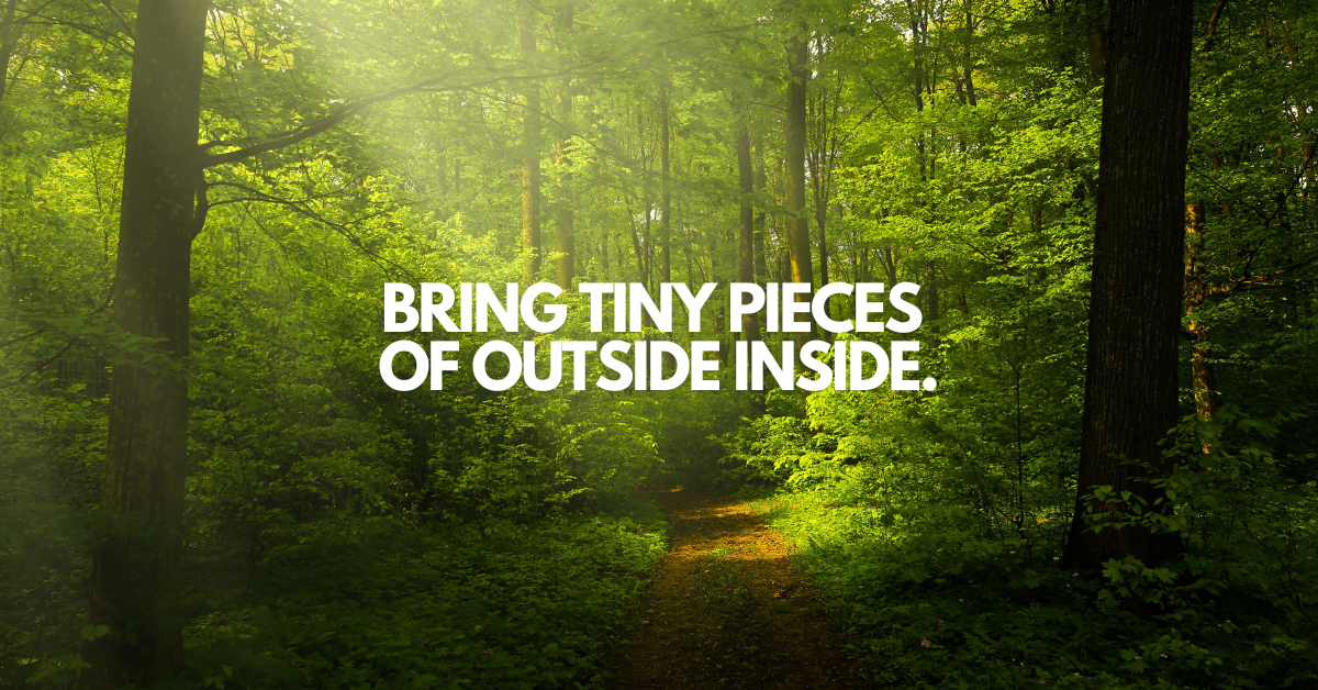 Bringing Little Pieces Of Outside, Inside